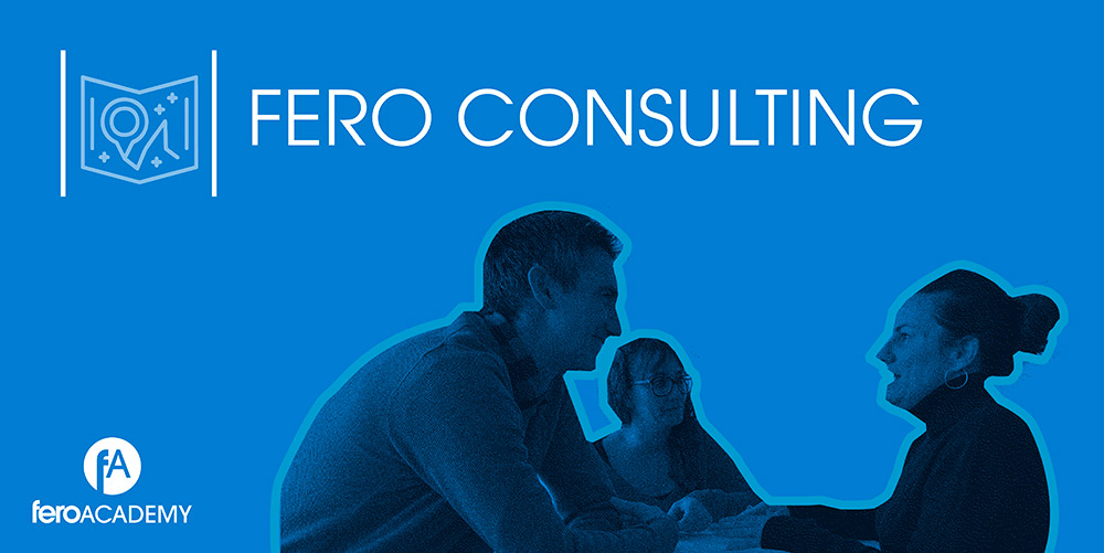 FERO Academy consulting
