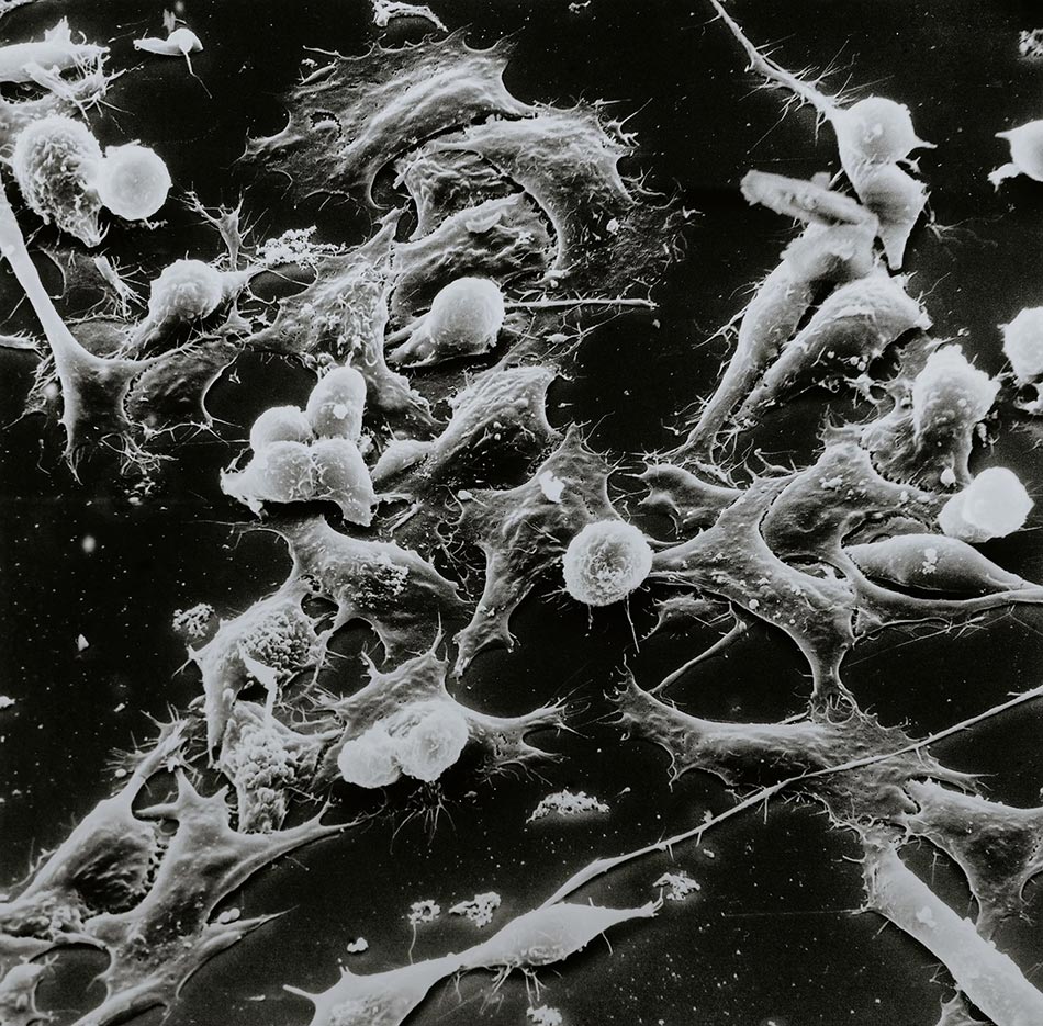 vc single image