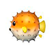 vc single image