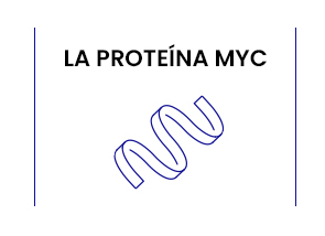 vc single image